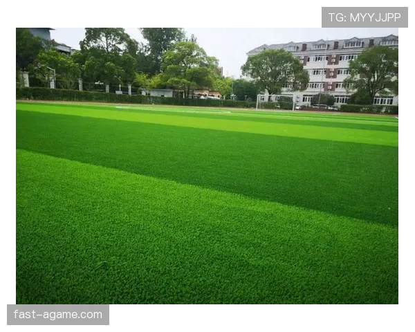 草坪场地规则有哪些核心标准？全面拆解足球场地条件要求